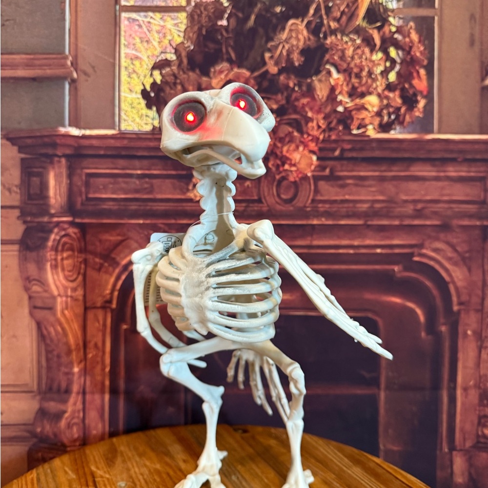 Skeleton Vulture Crow Halloween Bird Decor with Red Eyes Decor Party Craft NWT - Picture 17 of 17